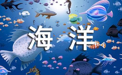夢幻的海洋作文