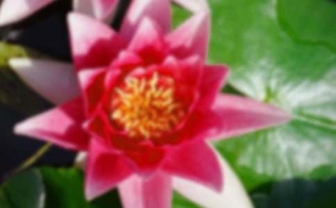 《荷花淀》教案優(yōu)秀