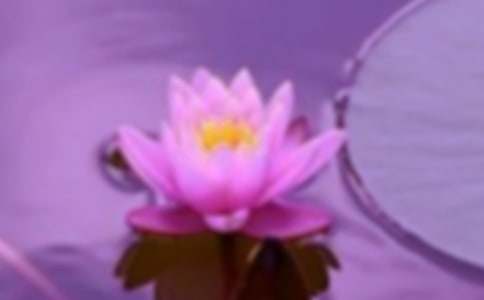 和諧作文(通用14篇)