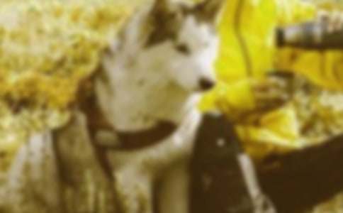 倡導(dǎo)和諧社會(huì)的作文