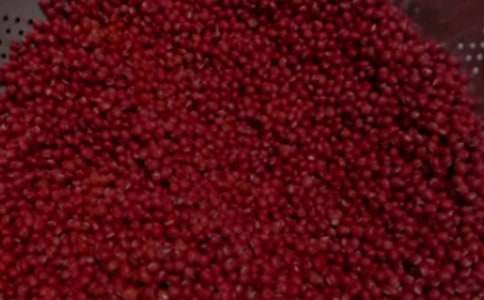 紅豆發(fā)芽連續(xù)觀察的日記(精選24篇)