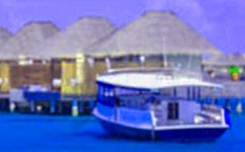 假期中難忘的一次白水洋之旅作文