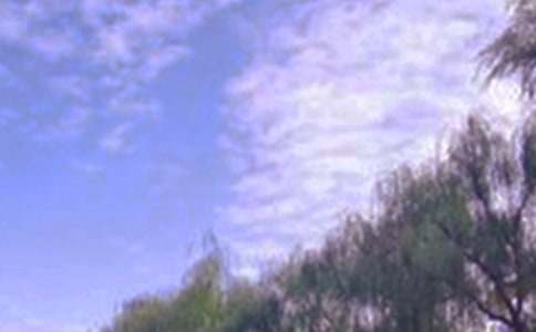 描寫揚州的景色作文