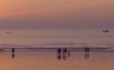 黃山景色作文15篇【精選】