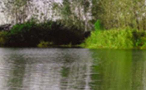 【必備】寫的景色的作文300字4篇