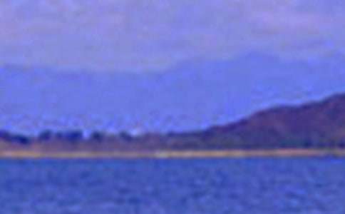 描寫成都景色的作文(精選10篇)