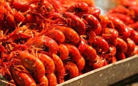 我和老爸比抓龍蝦六年級(jí)作文