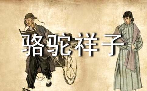 《駱駝祥子》讀書心得(精選21篇)