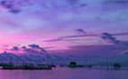 我心中的美景作文600字