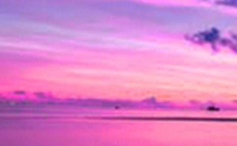 鄉(xiāng)村田園美景四年級(jí)作文