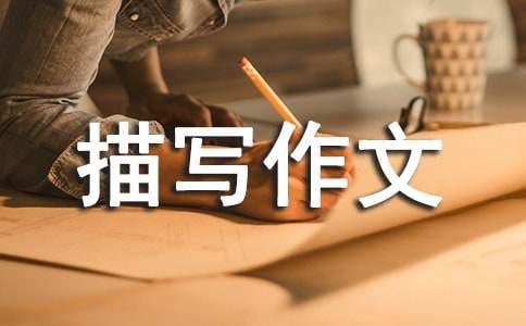 動作描寫作文(精選27篇)