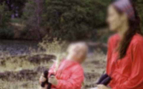 有關(guān)黃河母親河作文合集六篇