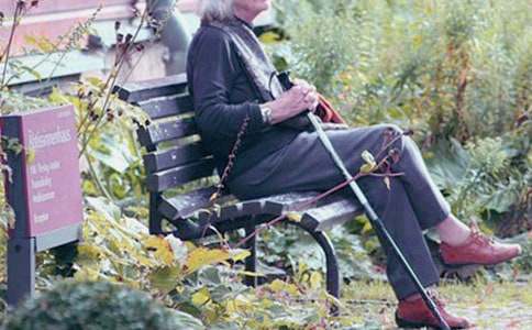 奶奶的菜園作文集合15篇