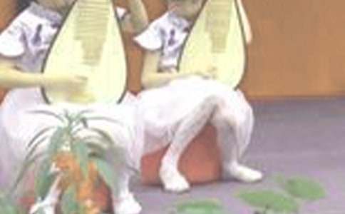 琵琶行教學(xué)教案(精選12篇)