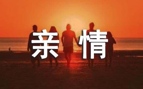 舌尖上的親情作文精選7篇