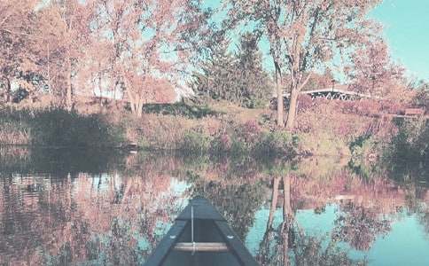 【必備】秋季的作文匯總5篇