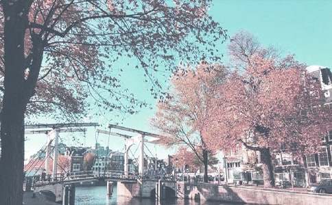 寫描寫秋季的作文合集四篇