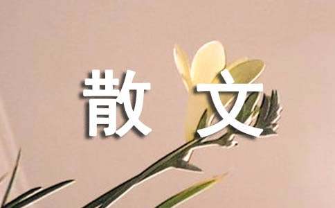 汪曾祺散文《新校舍》