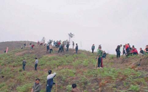 一次掃墓作文(集合15篇)