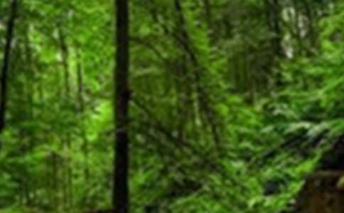 【實(shí)用】森林草原防火演練簡(jiǎn)報(bào)9篇