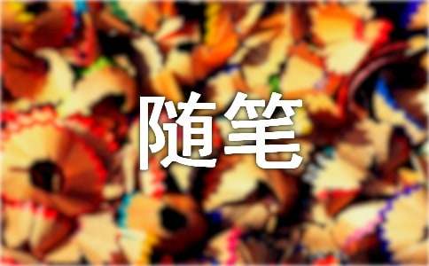 小學(xué)隨筆作文300字合集六篇