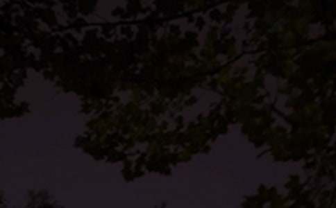 簡單的每日一句晚安心語微信34條