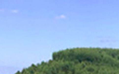 暖心午安祝福語(通用30句)