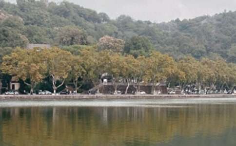 美麗的西湖小學(xué)作文15篇