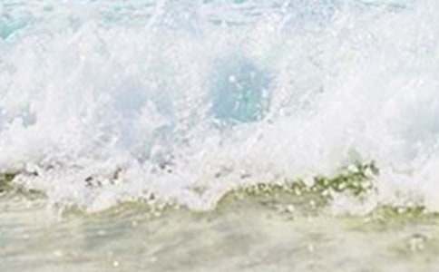 作文:那年夏天我們畢業(yè)了