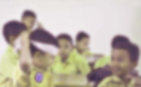 【合集】小學(xué)生的作文