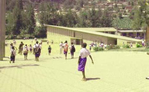 小學(xué)生豆芽優(yōu)秀觀察日記范文(精選9篇)