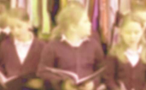 魁樹之伐小學(xué)生作文