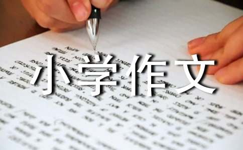 油菜花小學(xué)作文