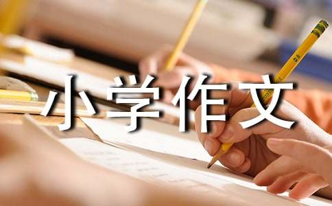 有關(guān)我心中的小學(xué)作文600字四篇