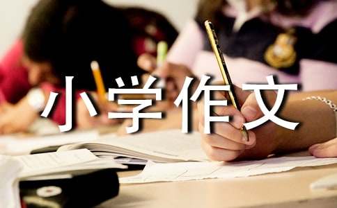棕櫚樹的小學(xué)作文300字