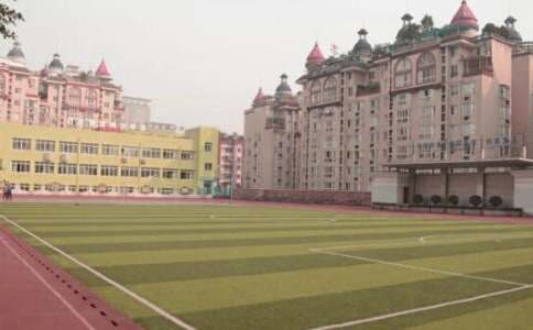 校園里的梧桐樹作文,初一記敘文600字