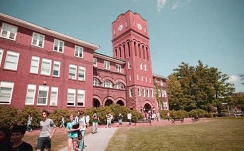 綠色校園作文600字