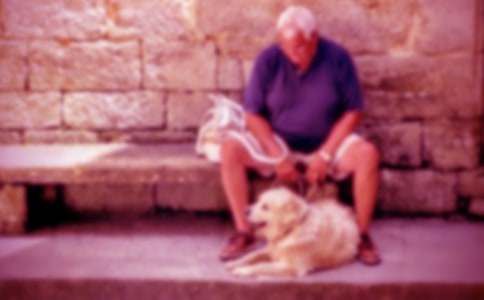 以記憶中的爺爺為題的作文