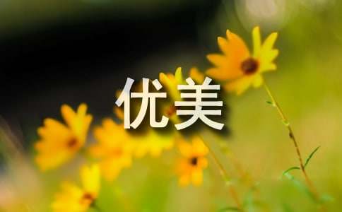 那年,花開正夏優(yōu)美散文