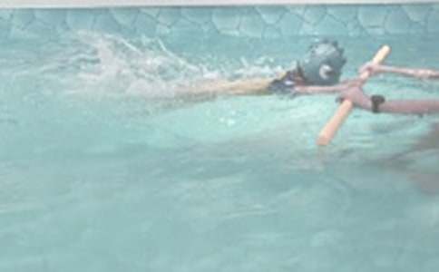 夏日游泳的啟示作文