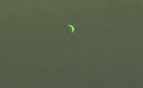 月亮的作文(集錦15篇)