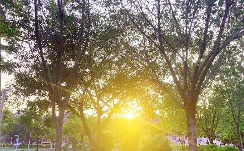 【熱門】適合給朋友的早安問候語短信42條