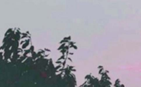 簡潔的朋友早安問候語合集31條