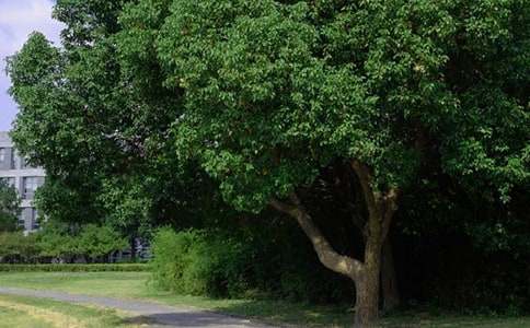 2021年通用新版早安心語朋友圈合集35句