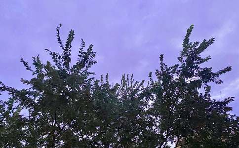 2024年有關(guān)溫暖的早安朋友圈問候語集合32句