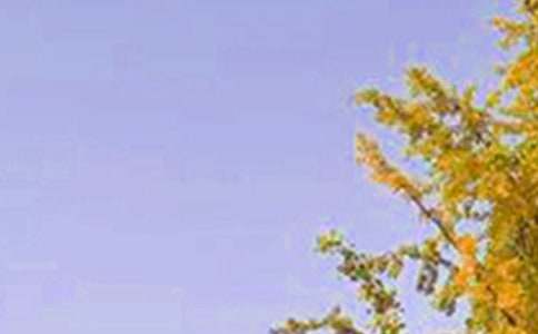 簡潔的溫暖的早安微信問候語合集32句