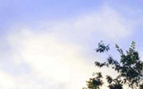 早安勵(lì)志句子【熱】