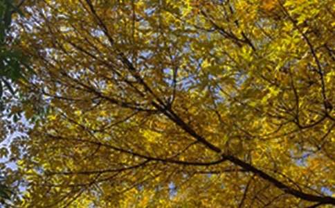 適合早上發(fā)的早安微信問(wèn)候語(yǔ)25句