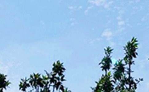 早安情感心語(9篇)