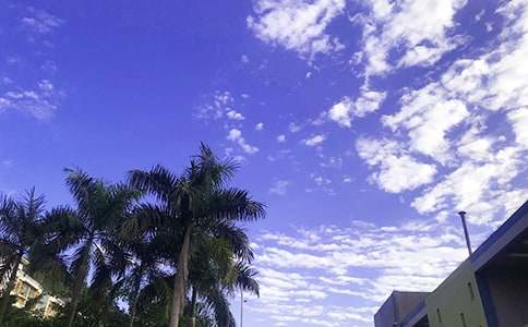 2021年有關美好的早安QQ問候語集錦61句